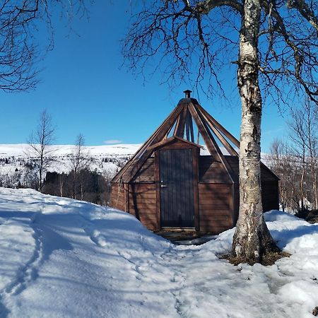 Hessdalen Ufocamp Apartman Vårhus Kültér fotó
