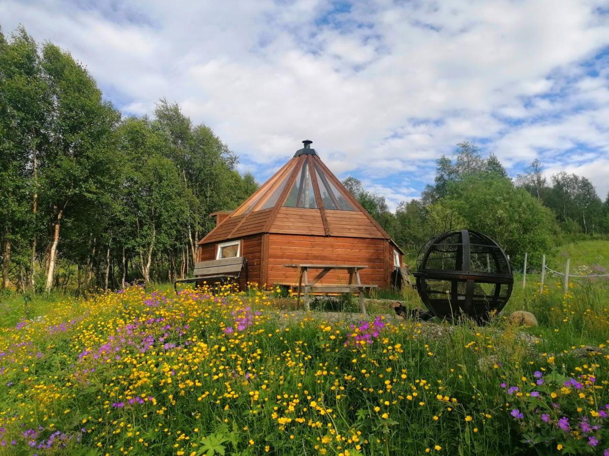 Hessdalen Ufocamp Apartman Vårhus Kültér fotó